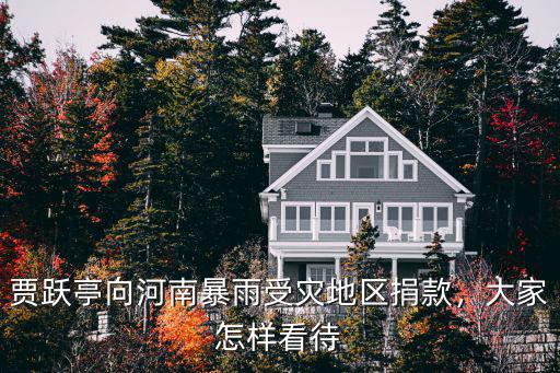 賈躍亭向河南暴雨受災地區捐款，大家怎樣看待
