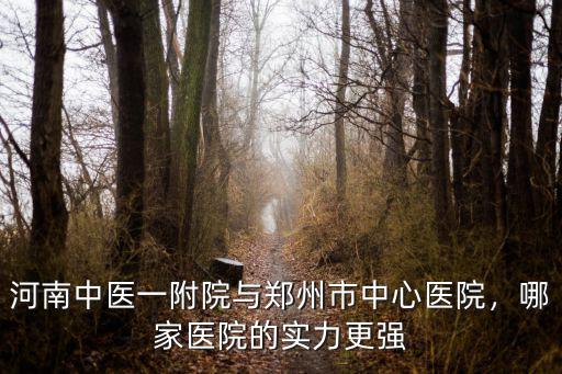 河南中醫一附院與鄭州市中心醫院，哪家醫院的實力更強