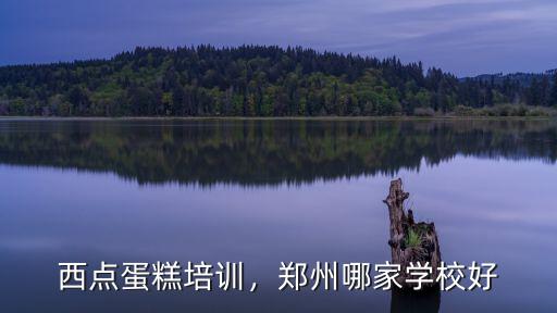鄭州哪里可學做蛋糕,西點蛋糕培訓