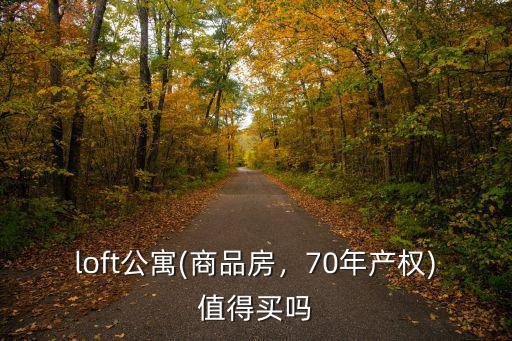 loft公寓(商品房，70年產權)值得買嗎