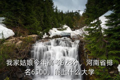 我家姑娘今年高考628分，河南省排名6500，能上什么大學