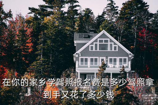 在你的家鄉(xiāng)學(xué)駕照?qǐng)?bào)名費(fèi)是多少駕照拿到手又花了多少錢