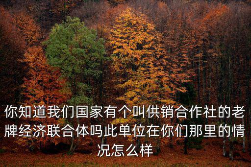你知道我們國(guó)家有個(gè)叫供銷合作社的老牌經(jīng)濟(jì)聯(lián)合體嗎此單位在你們那里的情況怎么樣