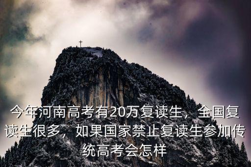 今年河南高考有20萬復(fù)讀生，全國復(fù)讀生很多，如果國家禁止復(fù)讀生參加傳統(tǒng)高考會怎樣