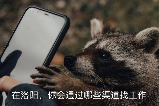 在洛陽，你會通過哪些渠道找工作