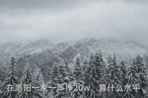 在洛陽(yáng)一家一年掙20w，算什么水平