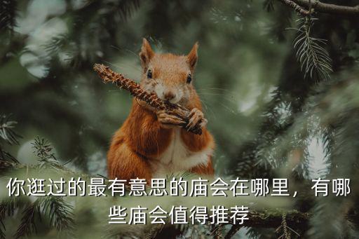 你逛過(guò)的最有意思的廟會(huì)在哪里，有哪些廟會(huì)值得推薦