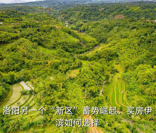 洛陽另一個“新區”蓄勢崛起，買房伊濱如何選擇