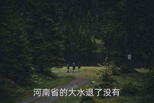 河南省的大水退了沒有