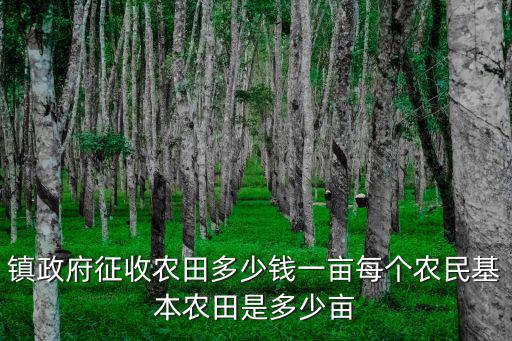 鎮政府征收農田多少錢一畝每個農民基本農田是多少畝