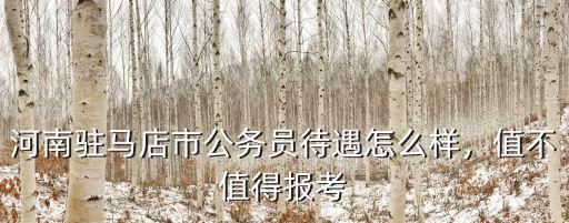 駐馬店市招商局怎么樣,駐馬店市在你們心中怎么樣