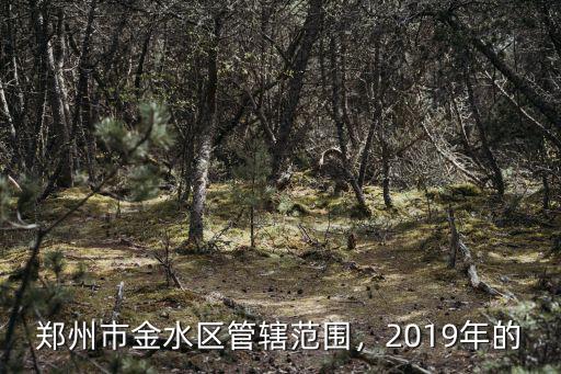 鄭州市金水區(qū)管轄范圍，2019年的