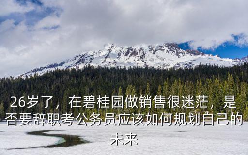 26歲了，在碧桂園做銷售很迷茫，是否要辭職考公務員應該如何規劃自己的未來