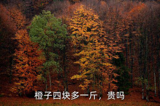 橙子四塊多一斤，貴嗎