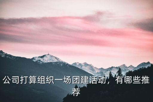 公司打算組織一場團建活動，有哪些推薦