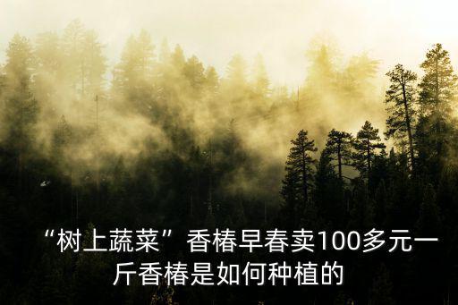 “樹上蔬菜”香椿早春賣100多元一斤香椿是如何種植的