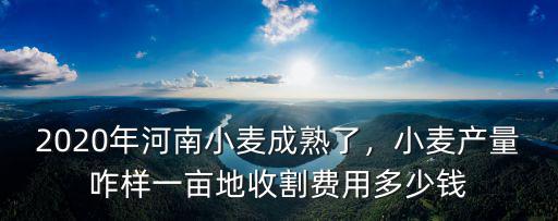2020年河南小麥成熟了，小麥產(chǎn)量咋樣一畝地收割費用多少錢