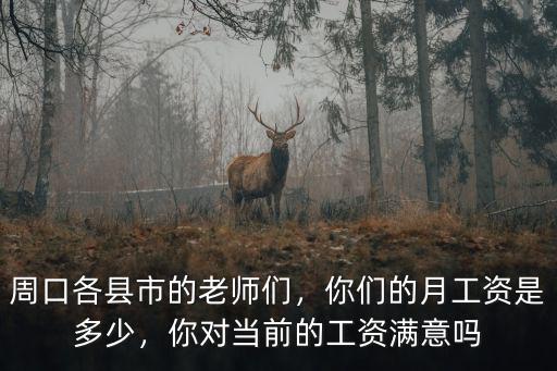 周口各縣市的老師們，你們的月工資是多少，你對當(dāng)前的工資滿意嗎
