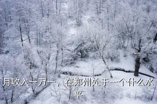 月收入一萬一，在鄭州處于一個什么水平