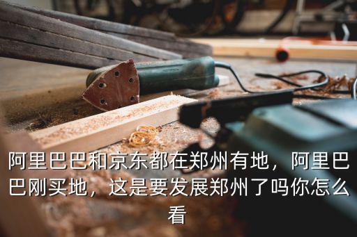 阿里巴巴和京東都在鄭州有地，阿里巴巴剛買地，這是要發展鄭州了嗎你怎么看