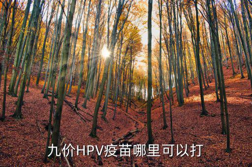 鄭州哪里可以打4價宮頸癌疫苗,九價HPV疫苗哪里可以打