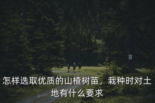 焦作哪里有山楂樹苗,山楂籽可以種出山楂樹苗嗎