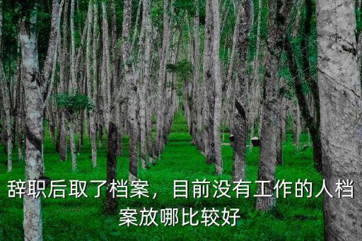 辭職后取了檔案，目前沒(méi)有工作的人檔案放哪比較好