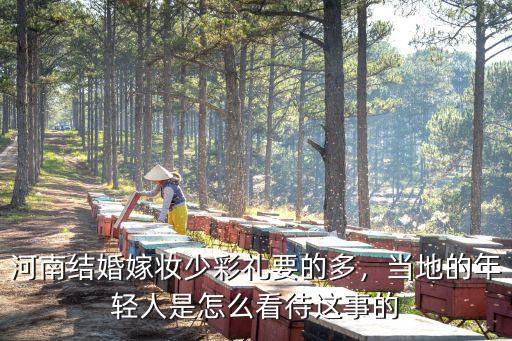 河南結(jié)婚嫁妝少彩禮要的多，當(dāng)?shù)氐哪贻p人是怎么看待這事的