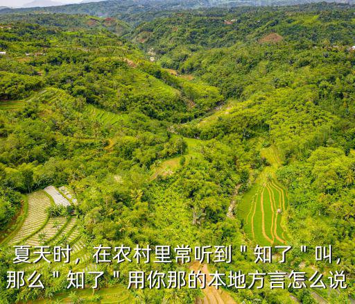 信陽話知了怎么說,知了猴用你的家鄉話怎么說