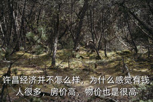 許昌經濟并不怎么樣，為什么感覺有錢人很多，房價高，物價也是很高