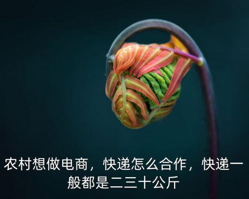 農村想做電商，快遞怎么合作，快遞一般都是二三十公斤