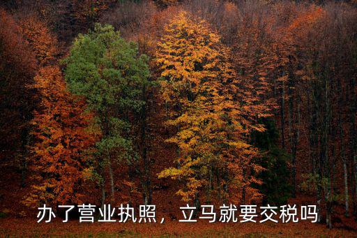 濮陽(yáng)縣辦營(yíng)業(yè)執(zhí)照怎么還要交稅,辦了營(yíng)業(yè)執(zhí)照