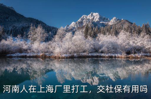 河南人在塔城打工怎么辦,河南人在上海廠里打工