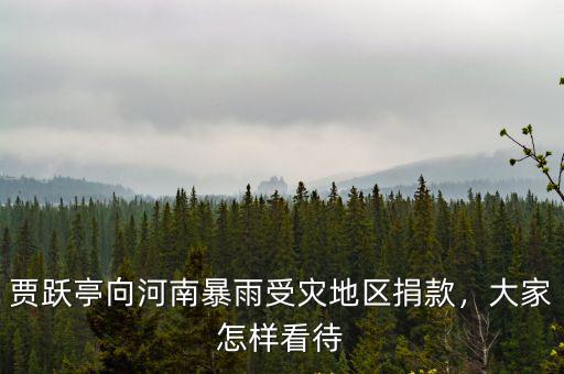 賈躍亭向河南暴雨受災地區捐款，大家怎樣看待