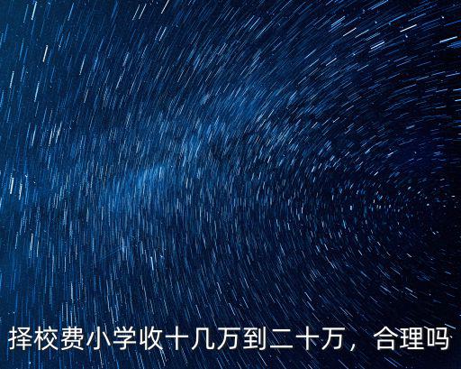 擇校費小學收十幾萬到二十萬，合理嗎