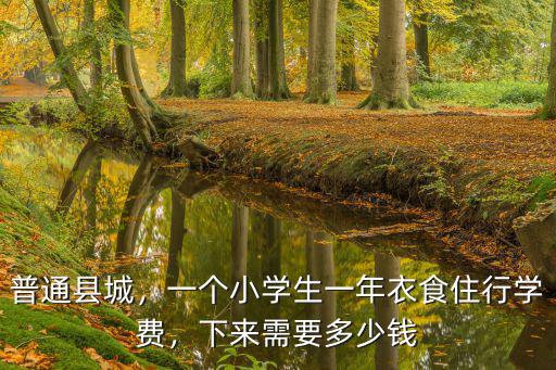 普通縣城，一個小學生一年衣食住行學費，下來需要多少錢