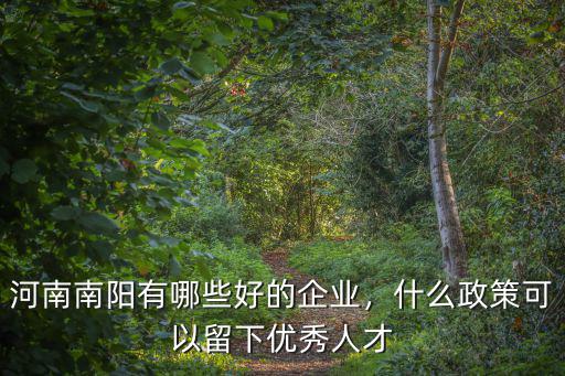 河南南陽有哪些好的企業，什么政策可以留下優秀人才