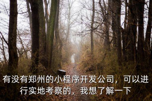 鄭州小程序公司怎么樣,有沒有鄭州的小程序開發公司