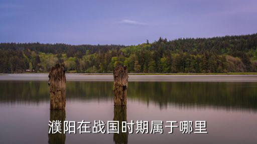 濮陽在戰國時期屬于哪里