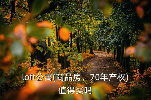 loft公寓(商品房，70年產權)值得買嗎