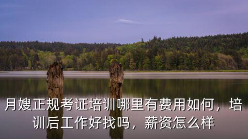 信陽月嫂培訓怎么考證,信陽月嫂保姆培訓哪里最好