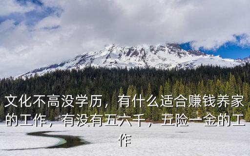 文化不高沒學歷，有什么適合賺錢養家的工作，有沒有五六千，五險一金的工作