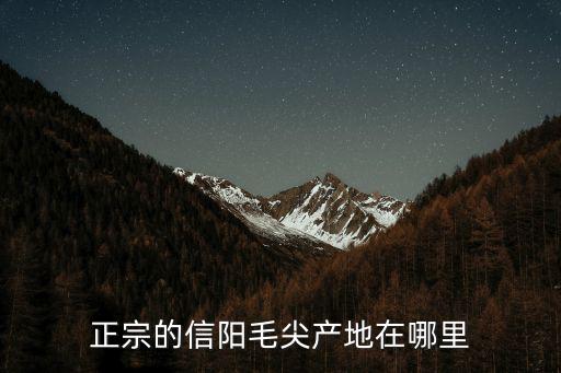 信陽毛尖來自哪里,正宗的信陽毛尖產(chǎn)地在哪里