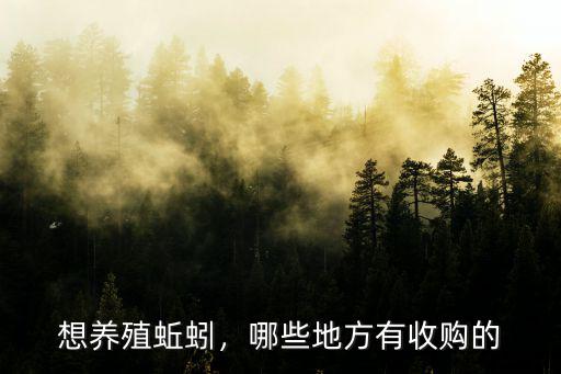 洛陽哪里有養蚯蚓的地方,哪些地方有收購的