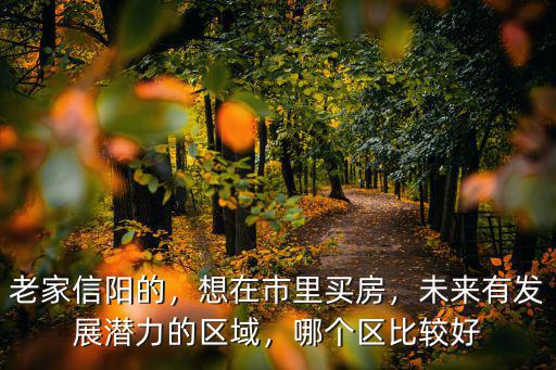老家信陽的，想在市里買房，未來有發(fā)展?jié)摿Φ膮^(qū)域，哪個(gè)區(qū)比較好