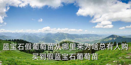 藍寶石假葡萄苗從哪里來為啥總有人購買到假藍寶石葡萄苗
