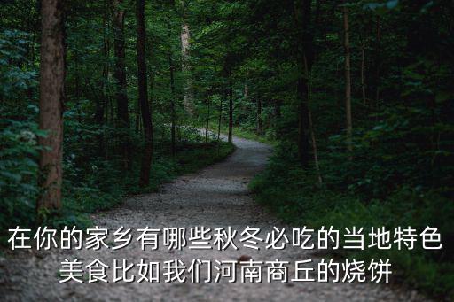 在你的家鄉有哪些秋冬必吃的當地特色美食比如我們河南商丘的燒餅