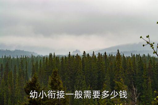 幼小銜接一般需要多少錢(qián)