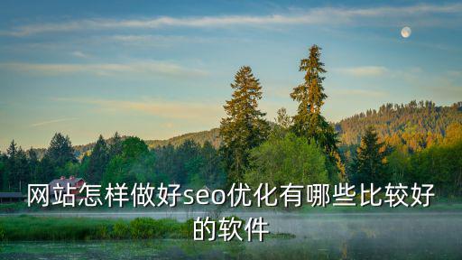 網站怎樣做好seo優化有哪些比較好的軟件