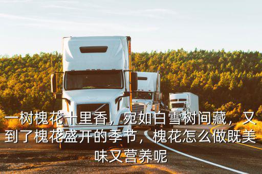 一樹槐花十里香，宛如白雪樹間藏，又到了槐花盛開的季節(jié)，槐花怎么做既美味又營養(yǎng)呢